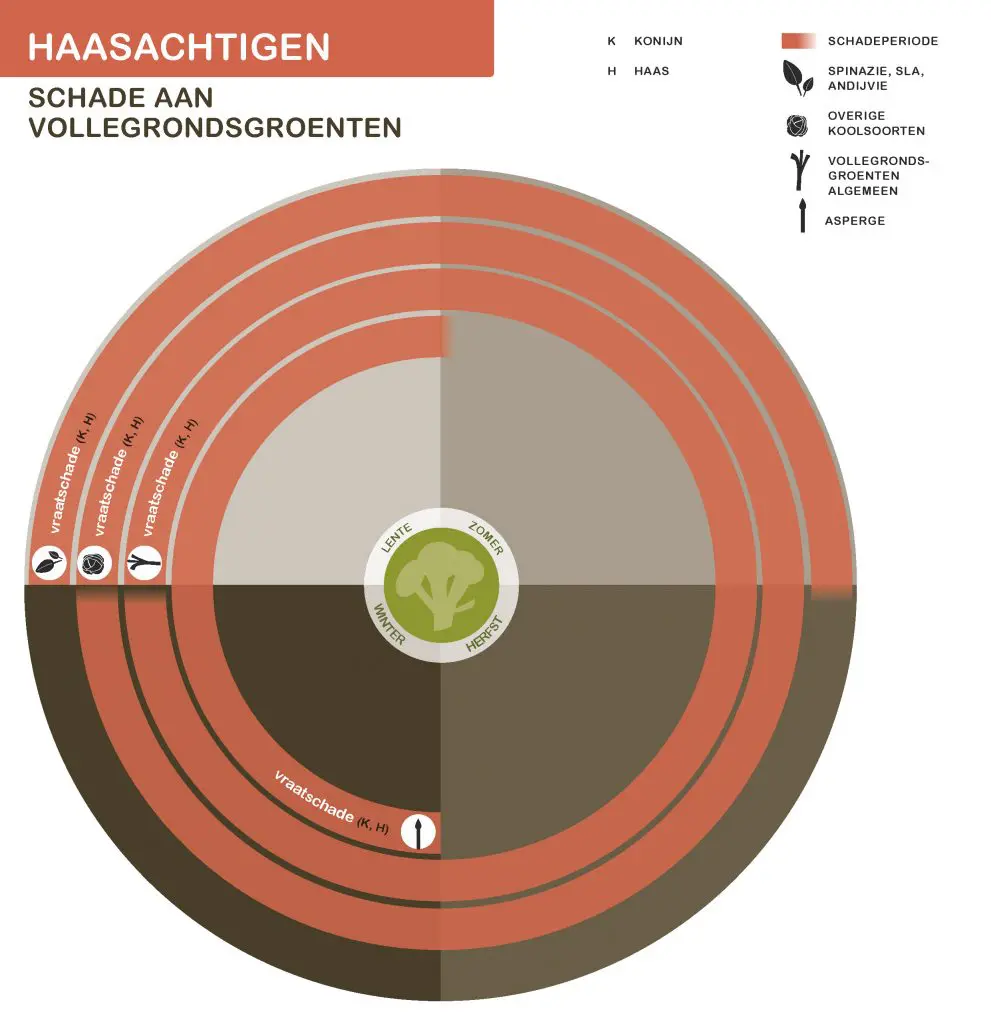 De inhoud van deze infographic vindt u deels in de tekst op de pagina. We zijn ons ervan bewust dat deze afbeelding niet digitaal toegankelijk is. Onze excuses daarvoor. Wij werken aan nieuwe faunaschadepreventiekits en de digitale toegankelijkheid daarvan. Heeft u vragen over de inhoud van deze afbeelding? Neem dan contact met ons op via info@mijnfaunazakenbij12.nl.