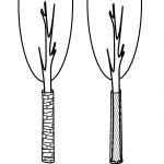 Mancet, smalle stam bedekte wortels