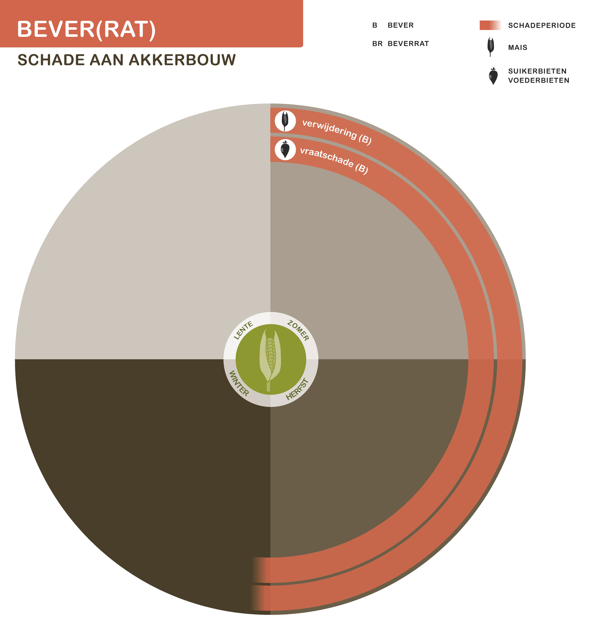 De inhoud van deze infographic vindt u deels in de tekst op de pagina. We zijn ons ervan bewust dat deze afbeelding niet digitaal toegankelijk is. Onze excuses daarvoor. Wij werken aan nieuwe faunaschadepreventiekits en de digitale toegankelijkheid daarvan. Heeft u vragen over de inhoud van deze afbeelding? Neem dan contact met ons op via info@mijnfaunazakenbij12.nl.