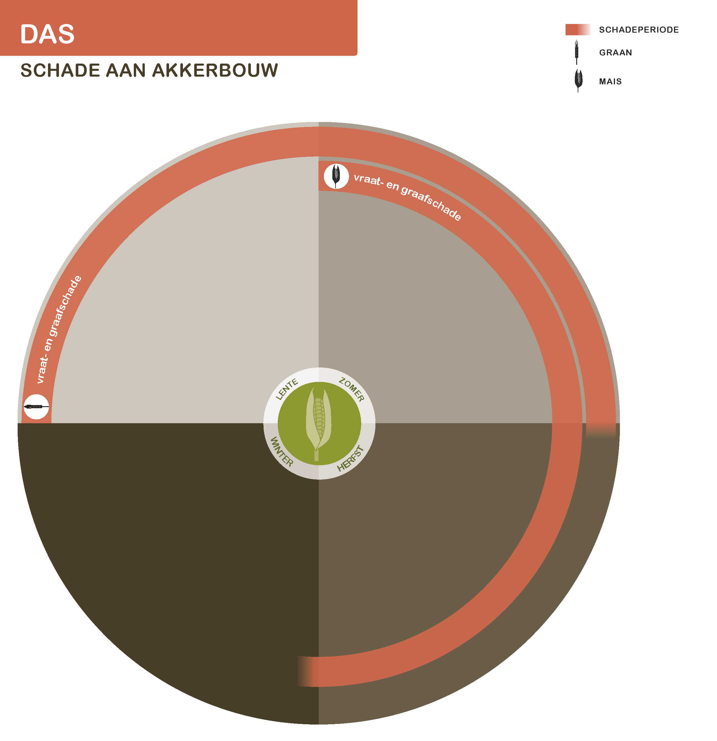 Een das gevonden, wat nu?