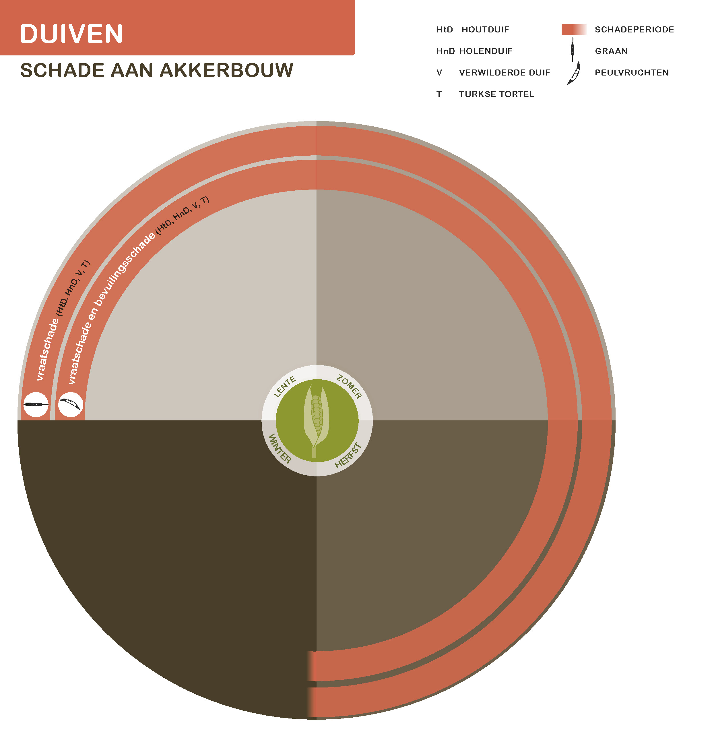 De inhoud van deze infographic vindt u deels in de tekst op de pagina. We zijn ons ervan bewust dat deze afbeelding niet digitaal toegankelijk is. Onze excuses daarvoor. Wij werken aan nieuwe faunaschadepreventiekits en de digitale toegankelijkheid daarvan. Heeft u vragen over de inhoud van deze afbeelding? Neem dan contact met ons op via info@mijnfaunazakenbij12.nl.