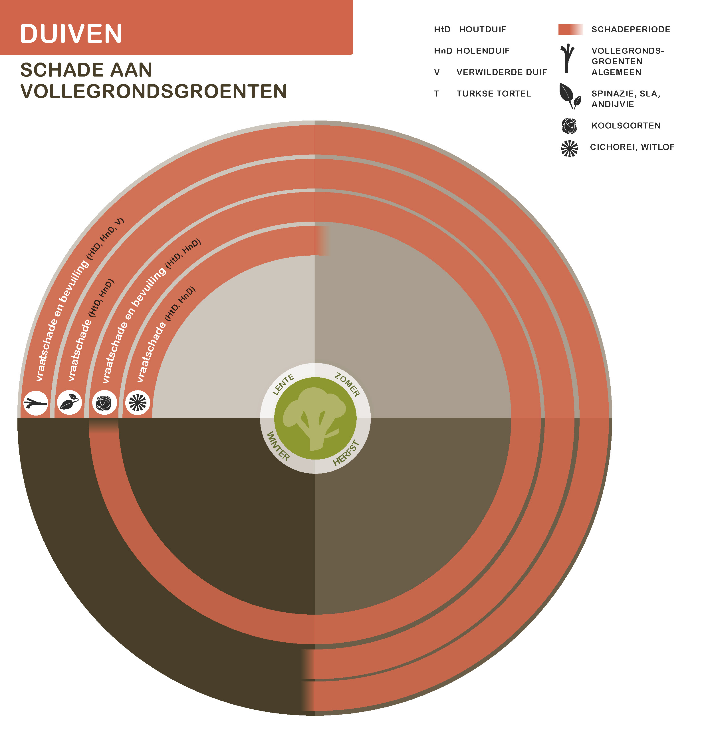 De inhoud van deze infographic vindt u deels in de tekst op de pagina. We zijn ons ervan bewust dat deze afbeelding niet digitaal toegankelijk is. Onze excuses daarvoor. Wij werken aan nieuwe faunaschadepreventiekits en de digitale toegankelijkheid daarvan. Heeft u vragen over de inhoud van deze afbeelding? Neem dan contact met ons op via info@mijnfaunazakenbij12.nl.