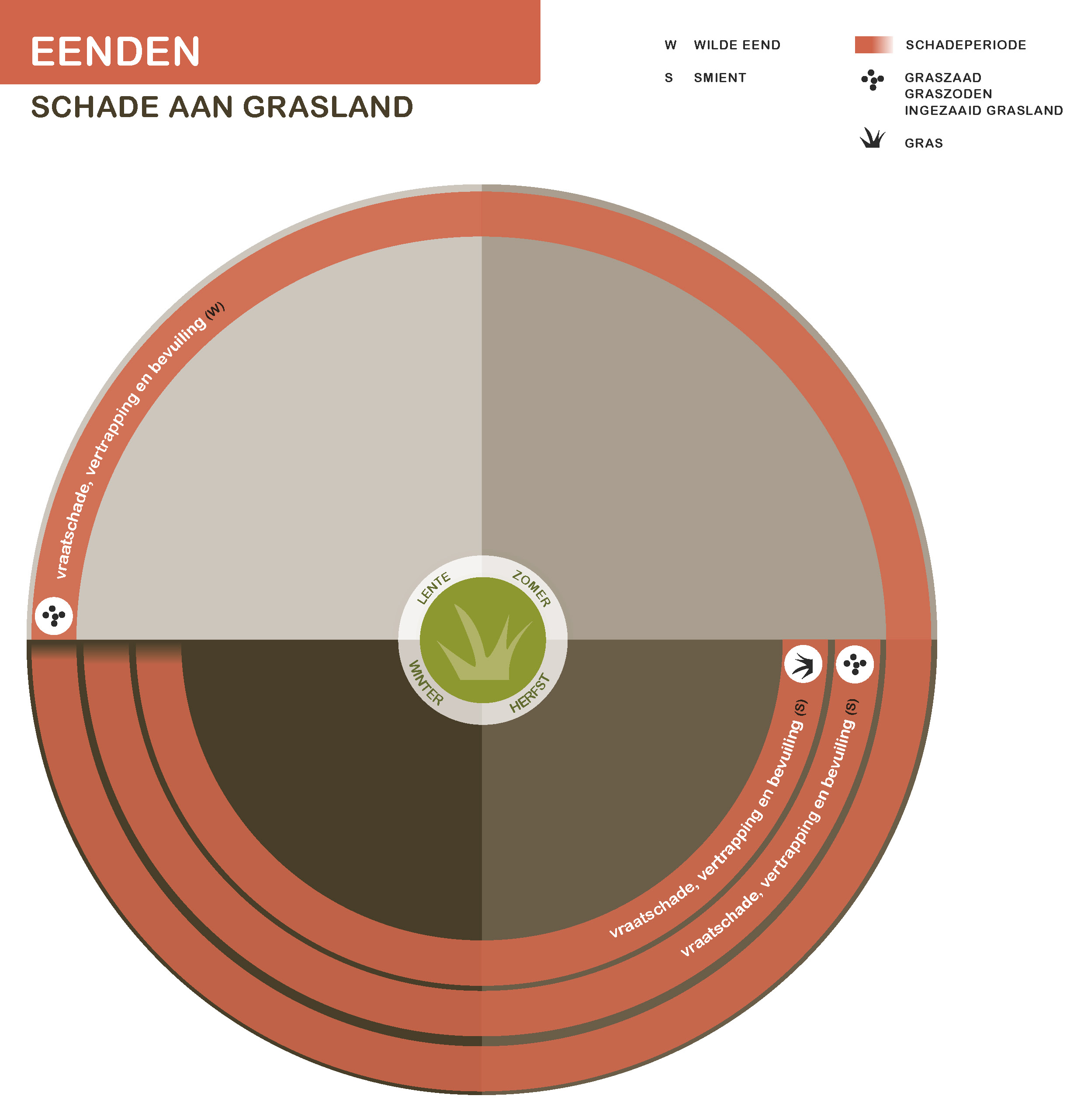 Infographic schade Eenden aan grasland