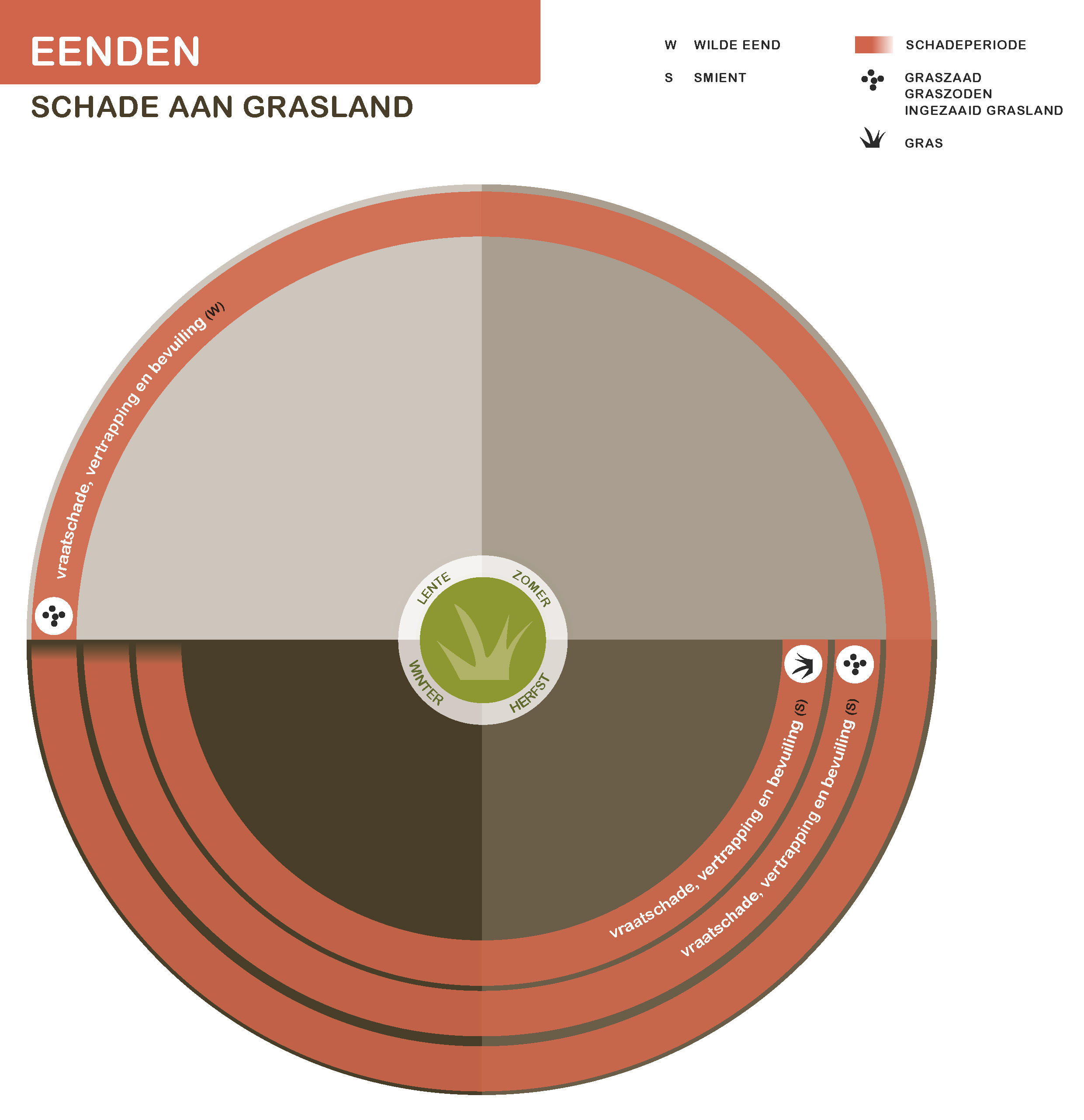 De inhoud van deze infographic vindt u deels in de tekst op de pagina. We zijn ons ervan bewust dat deze afbeelding niet digitaal toegankelijk is. Onze excuses daarvoor. Wij werken aan nieuwe faunaschadepreventiekits en de digitale toegankelijkheid daarvan. Heeft u vragen over de inhoud van deze afbeelding? Neem dan contact met ons op via info@mijnfaunazakenbij12.nl.