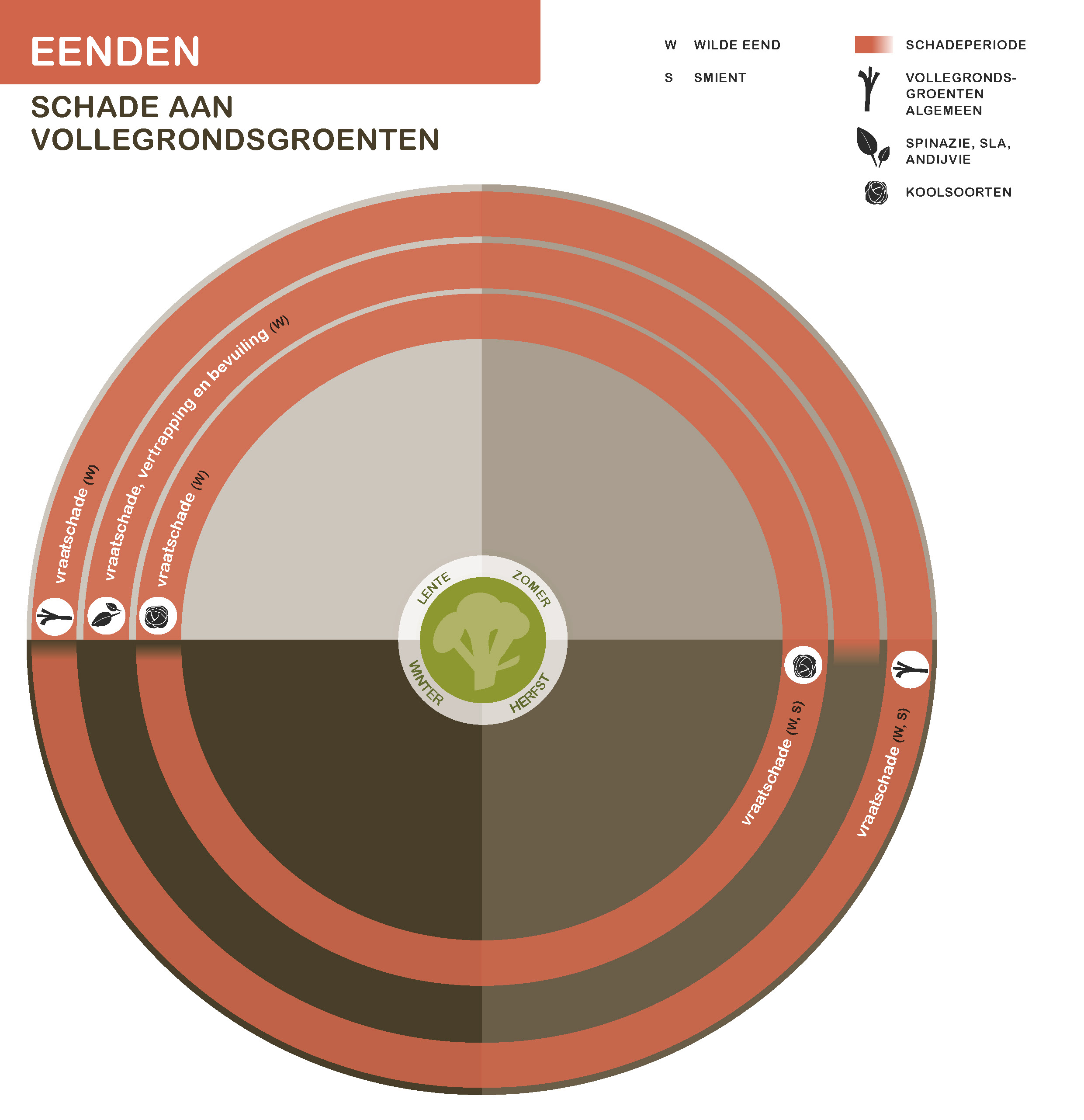 De inhoud van deze infographic vindt u deels in de tekst op de pagina. We zijn ons ervan bewust dat deze afbeelding niet digitaal toegankelijk is. Onze excuses daarvoor. Wij werken aan nieuwe faunaschadepreventiekits en de digitale toegankelijkheid daarvan. Heeft u vragen over de inhoud van deze afbeelding? Neem dan contact met ons op via info@mijnfaunazakenbij12.nl.