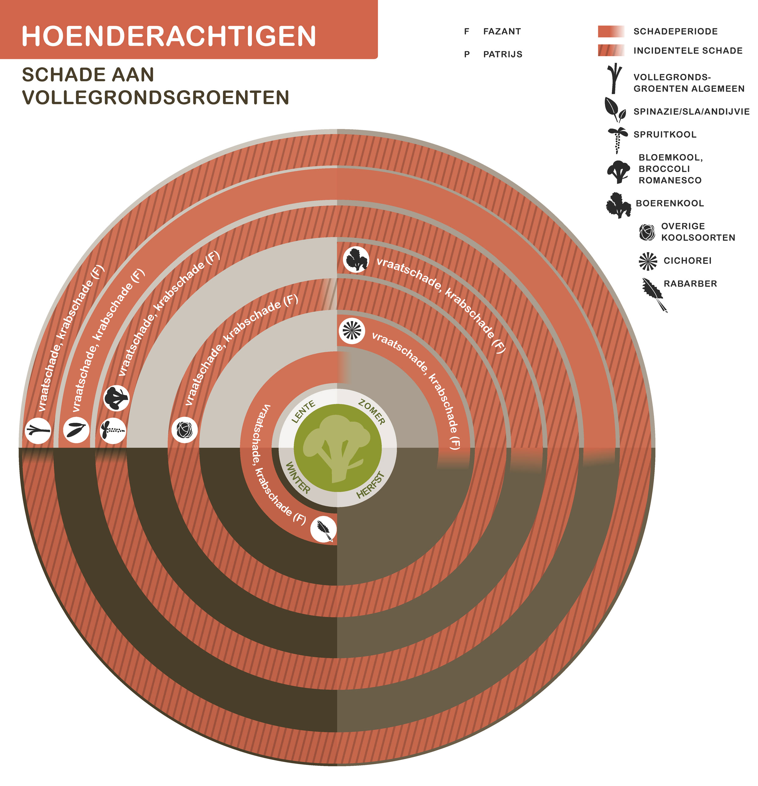 De inhoud van deze infographic vindt u deels in de tekst op de pagina. We zijn ons ervan bewust dat deze afbeelding niet digitaal toegankelijk is. Onze excuses daarvoor. Wij werken aan nieuwe faunaschadepreventiekits en de digitale toegankelijkheid daarvan. Heeft u vragen over de inhoud van deze afbeelding? Neem dan contact met ons op via info@mijnfaunazakenbij12.nl.