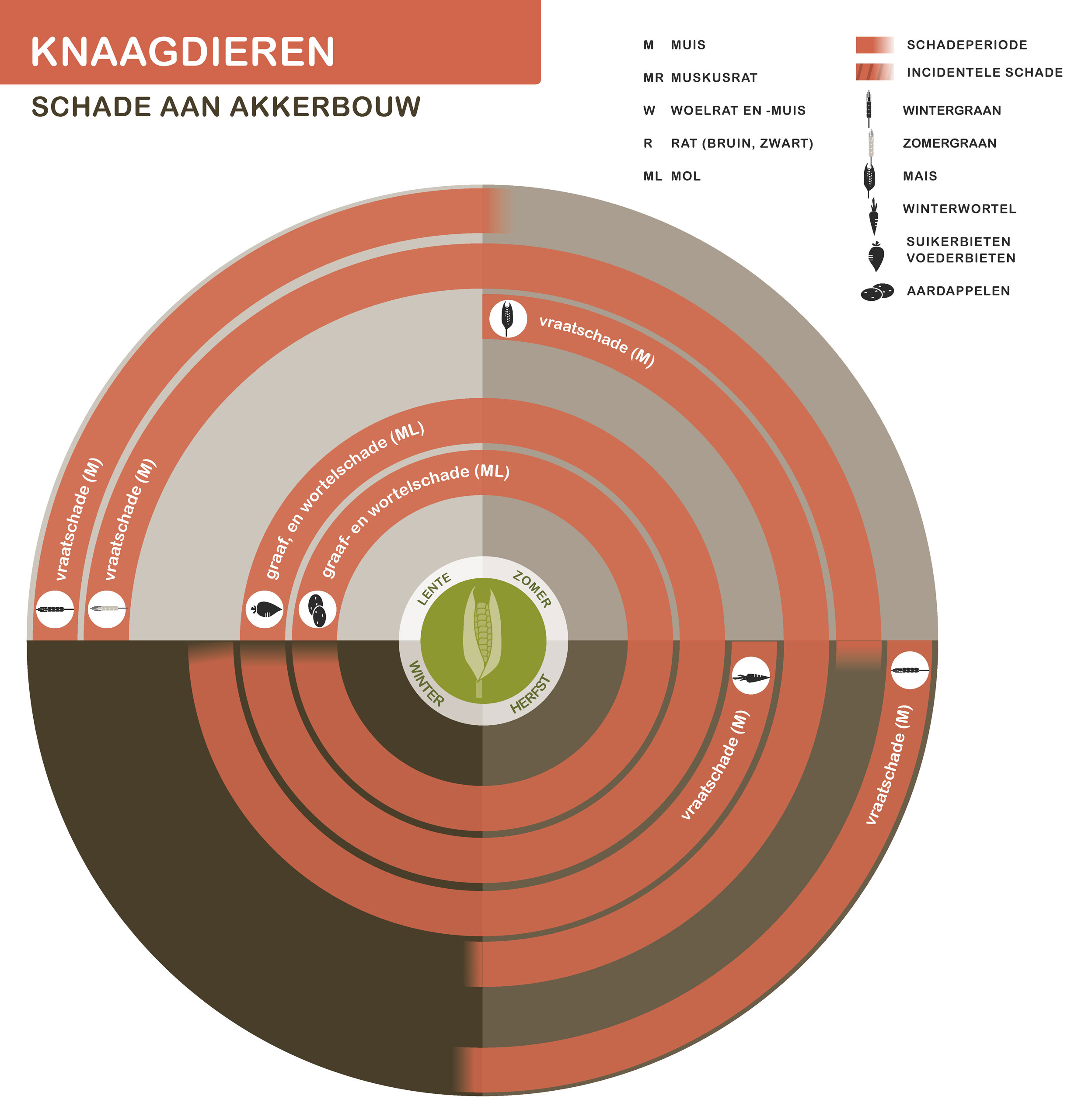 De inhoud van deze infographic vindt u deels in de tekst op de pagina. We zijn ons ervan bewust dat deze afbeelding niet digitaal toegankelijk is. Onze excuses daarvoor. Wij werken aan nieuwe faunaschadepreventiekits en de digitale toegankelijkheid daarvan. Heeft u vragen over de inhoud van deze afbeelding? Neem dan contact met ons op via info@mijnfaunazakenbij12.nl.