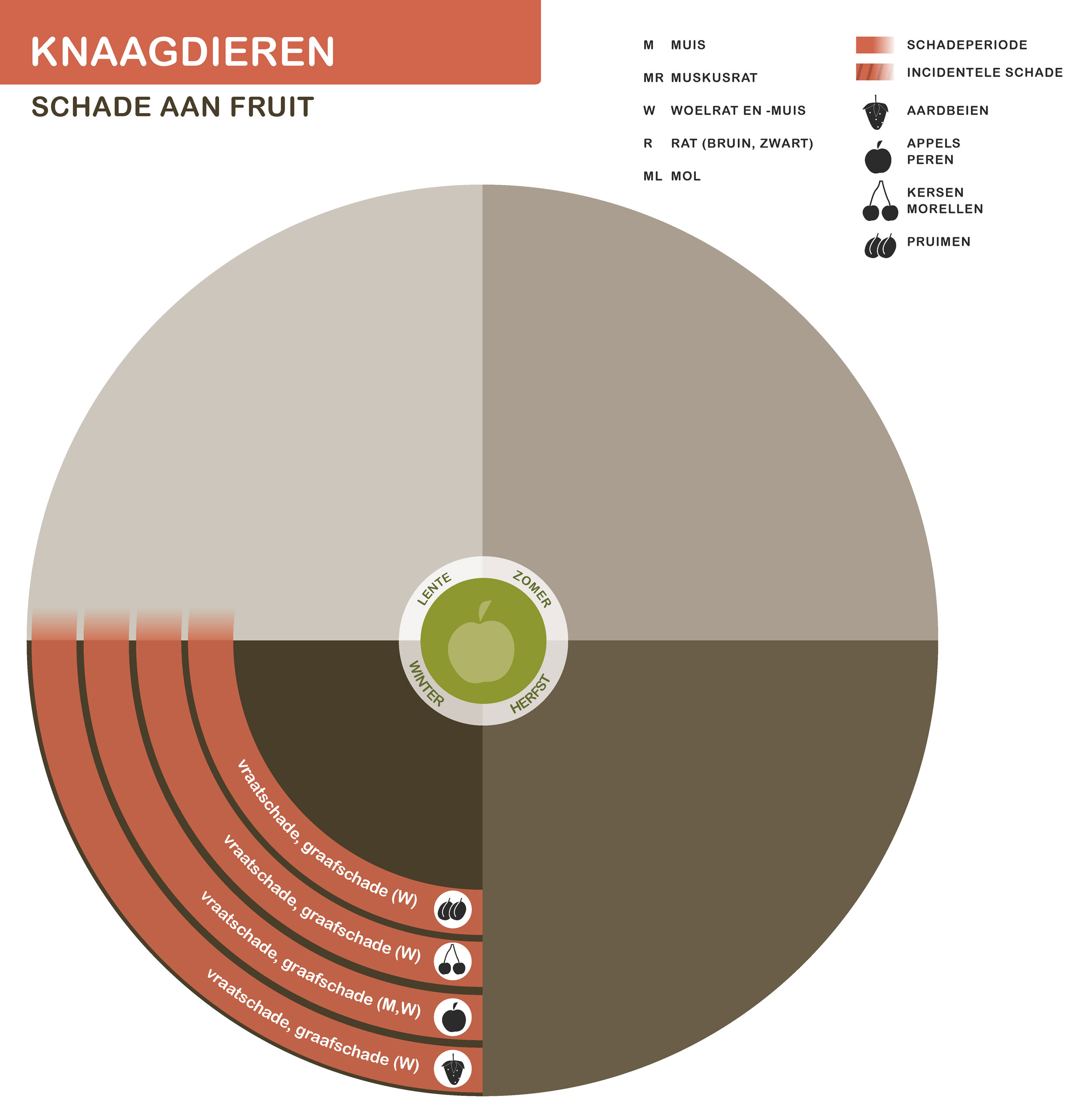 De inhoud van deze infographic vindt u deels in de tekst op de pagina. We zijn ons ervan bewust dat deze afbeelding niet digitaal toegankelijk is. Onze excuses daarvoor. Wij werken aan nieuwe faunaschadepreventiekits en de digitale toegankelijkheid daarvan. Heeft u vragen over de inhoud van deze afbeelding? Neem dan contact met ons op via info@mijnfaunazakenbij12.nl.