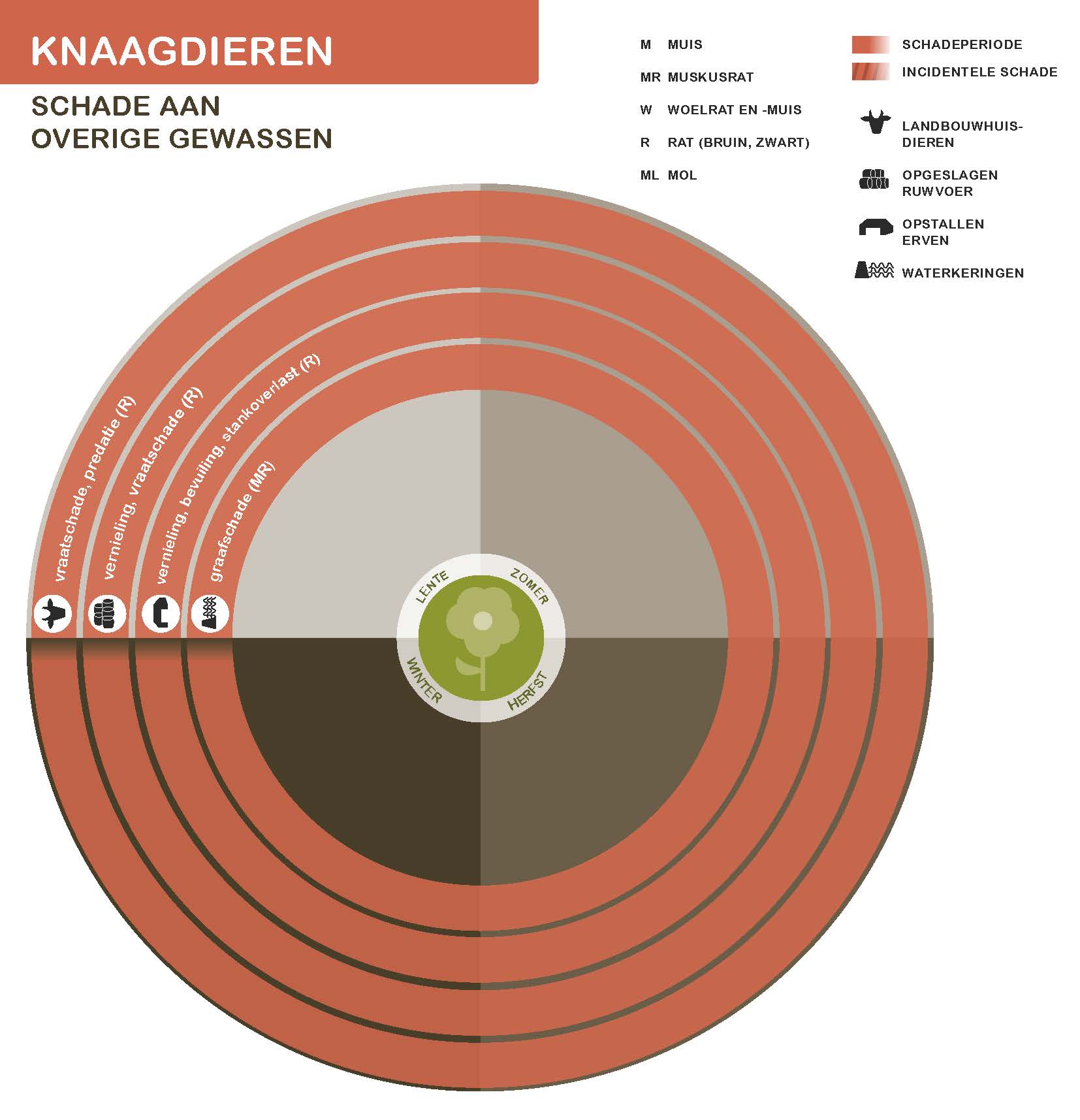 De inhoud van deze infographic vindt u deels in de tekst op de pagina. We zijn ons ervan bewust dat deze afbeelding niet digitaal toegankelijk is. Onze excuses daarvoor. Wij werken aan nieuwe faunaschadepreventiekits en de digitale toegankelijkheid daarvan. Heeft u vragen over de inhoud van deze afbeelding? Neem dan contact met ons op via info@mijnfaunazakenbij12.nl.