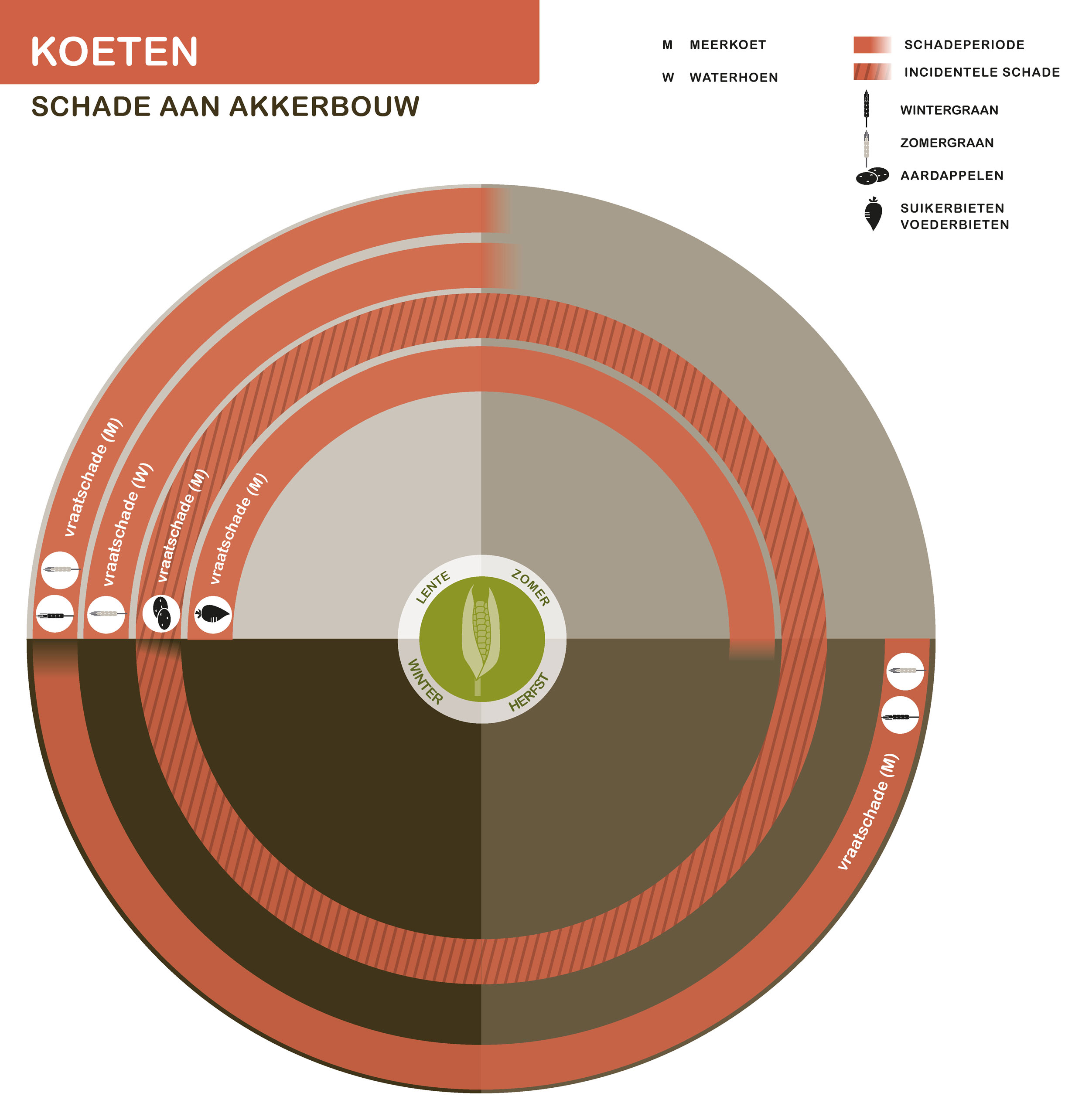 De inhoud van deze infographic vindt u deels in de tekst op de pagina. We zijn ons ervan bewust dat deze afbeelding niet digitaal toegankelijk is. Onze excuses daarvoor. Wij werken aan nieuwe faunaschadepreventiekits en de digitale toegankelijkheid daarvan. Heeft u vragen over de inhoud van deze afbeelding? Neem dan contact met ons op via info@mijnfaunazakenbij12.nl.