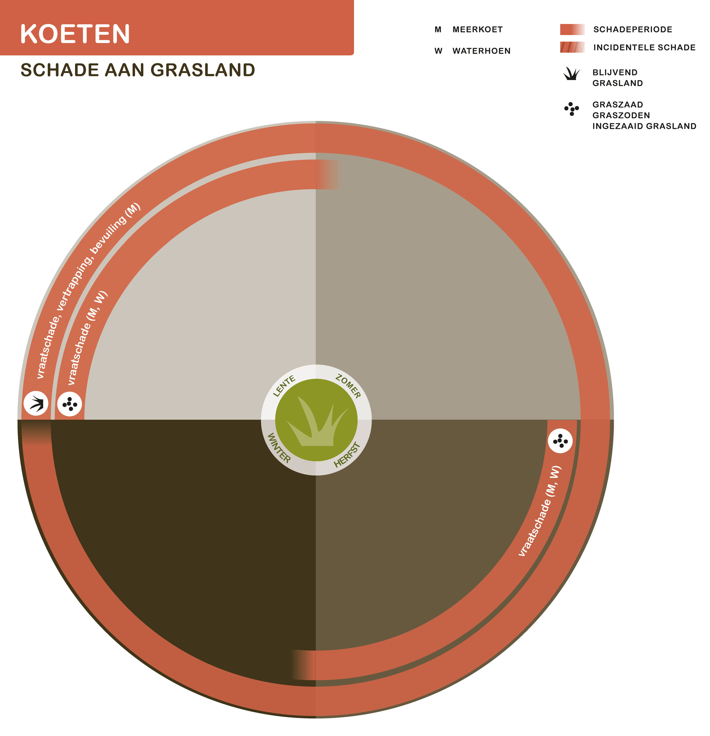 De inhoud van deze infographic vindt u deels in de tekst op de pagina. We zijn ons ervan bewust dat deze afbeelding niet digitaal toegankelijk is. Onze excuses daarvoor. Wij werken aan nieuwe faunaschadepreventiekits en de digitale toegankelijkheid daarvan. Heeft u vragen over de inhoud van deze afbeelding? Neem dan contact met ons op via info@mijnfaunazakenbij12.nl.