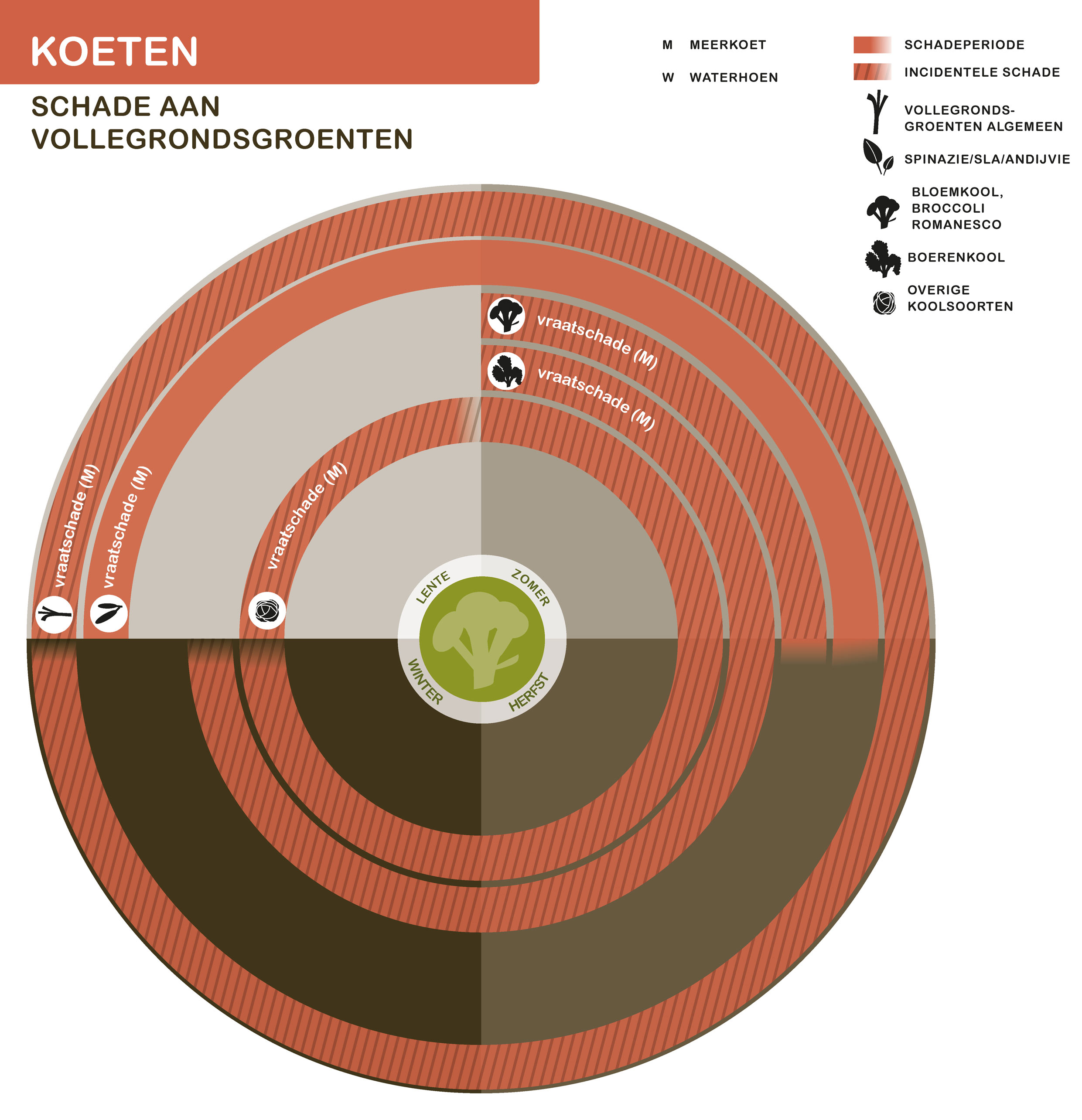 De inhoud van deze infographic vindt u deels in de tekst op de pagina. We zijn ons ervan bewust dat deze afbeelding niet digitaal toegankelijk is. Onze excuses daarvoor. Wij werken aan nieuwe faunaschadepreventiekits en de digitale toegankelijkheid daarvan. Heeft u vragen over de inhoud van deze afbeelding? Neem dan contact met ons op via info@mijnfaunazakenbij12.nl.