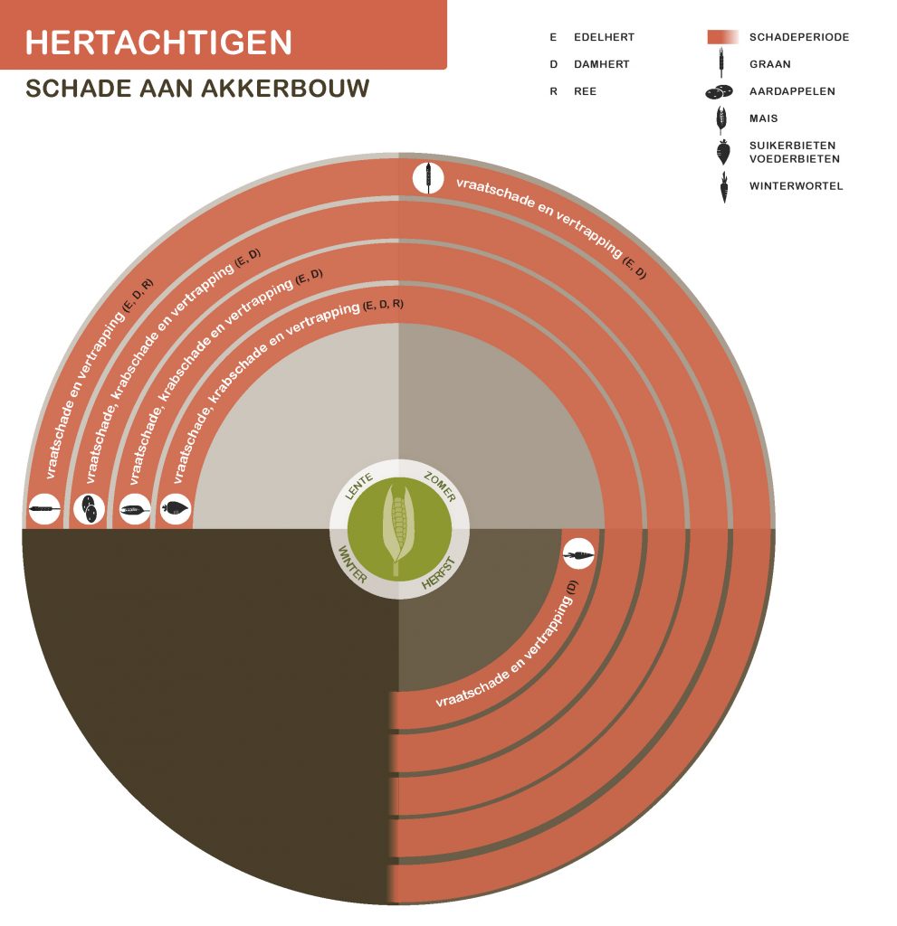 De inhoud van deze infographic vindt u deels in de tekst op de pagina. We zijn ons ervan bewust dat deze afbeelding niet digitaal toegankelijk is. Onze excuses daarvoor. Wij werken aan nieuwe faunaschadepreventiekits en de digitale toegankelijkheid daarvan. Heeft u vragen over de inhoud van deze afbeelding? Neem dan contact met ons op via info@mijnfaunazakenbij12.nl.