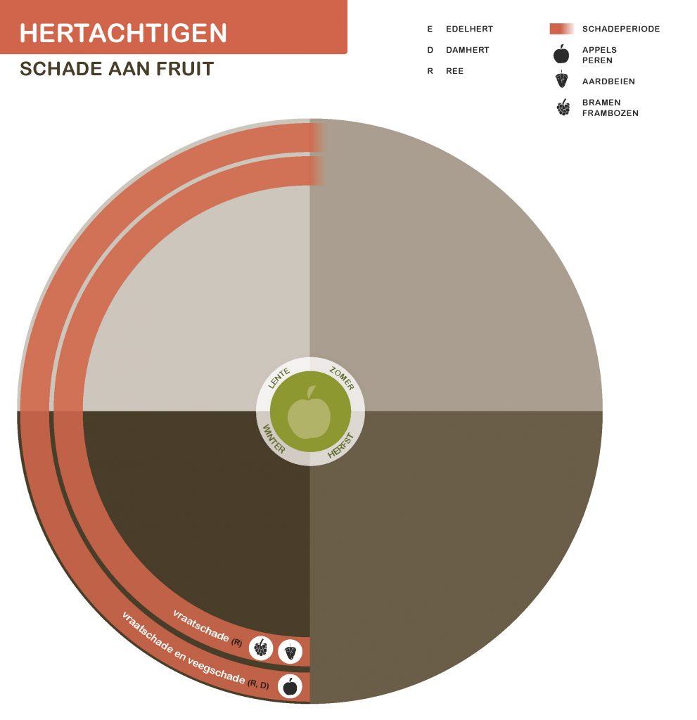 De inhoud van deze infographic vindt u deels in de tekst op de pagina. We zijn ons ervan bewust dat deze afbeelding niet digitaal toegankelijk is. Onze excuses daarvoor. Wij werken aan nieuwe faunaschadepreventiekits en de digitale toegankelijkheid daarvan. Heeft u vragen over de inhoud van deze afbeelding? Neem dan contact met ons op via info@mijnfaunazakenbij12.nl.