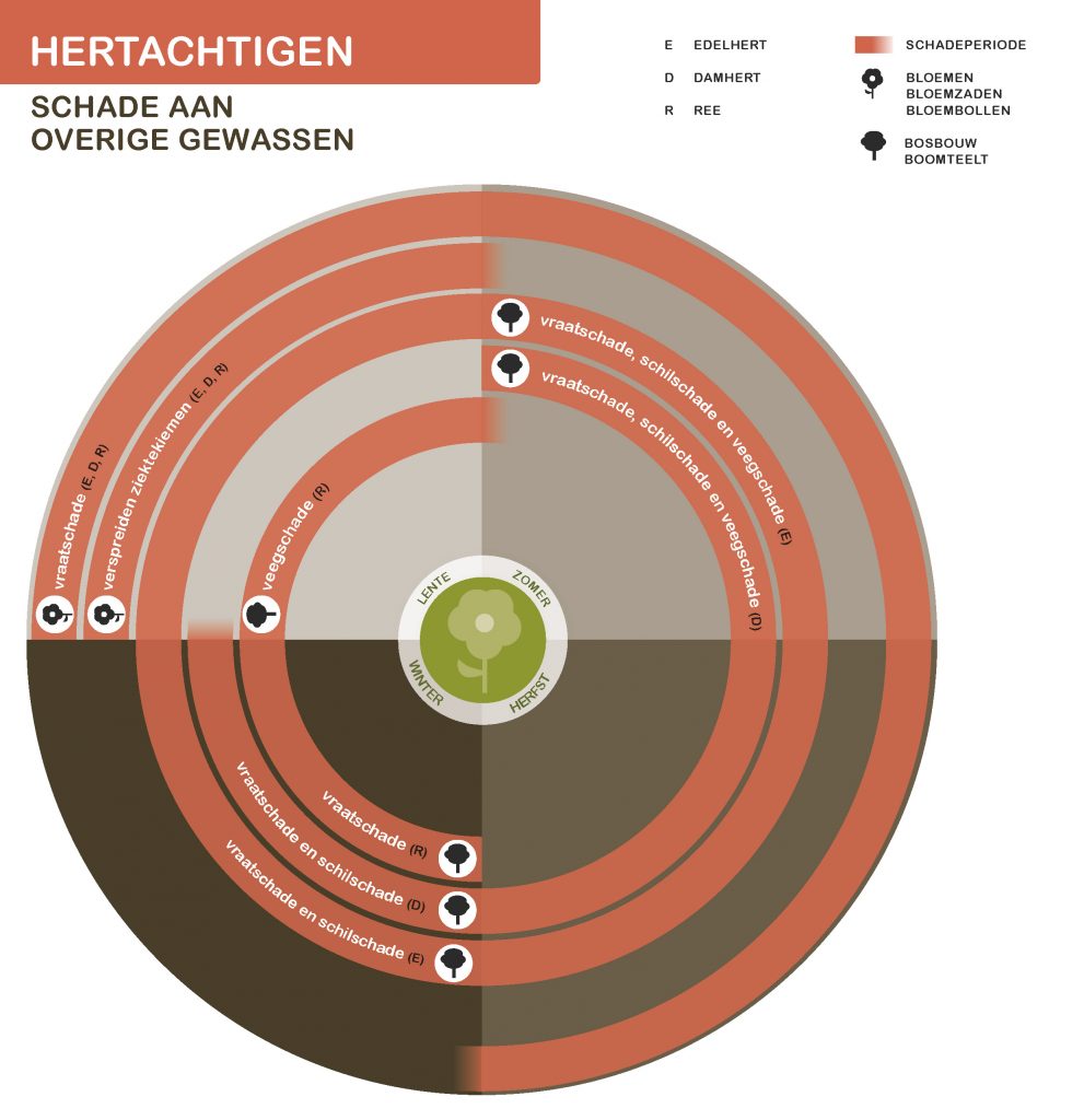 De inhoud van deze infographic vindt u deels in de tekst op de pagina. We zijn ons ervan bewust dat deze afbeelding niet digitaal toegankelijk is. Onze excuses daarvoor. Wij werken aan nieuwe faunaschadepreventiekits en de digitale toegankelijkheid daarvan. Heeft u vragen over de inhoud van deze afbeelding? Neem dan contact met ons op via info@mijnfaunazakenbij12.nl.