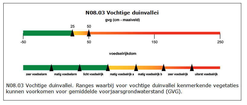 Figuur 10. Ranges waarbij voor vochtige duinvallei kenmerkende vegetaties kunnen voorkomen voor gemiddelde voorjaarsgrondwaterstand (GVG). 