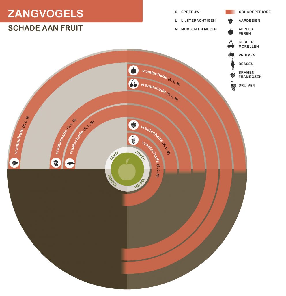 De inhoud van deze infographic vindt u deels in de tekst op de pagina. We zijn ons ervan bewust dat deze afbeelding niet digitaal toegankelijk is. Onze excuses daarvoor. Wij werken aan nieuwe faunaschadepreventiekits en de digitale toegankelijkheid daarvan. Heeft u vragen over de inhoud van deze afbeelding? Neem dan contact met ons op via info@mijnfaunazakenbij12.nl.