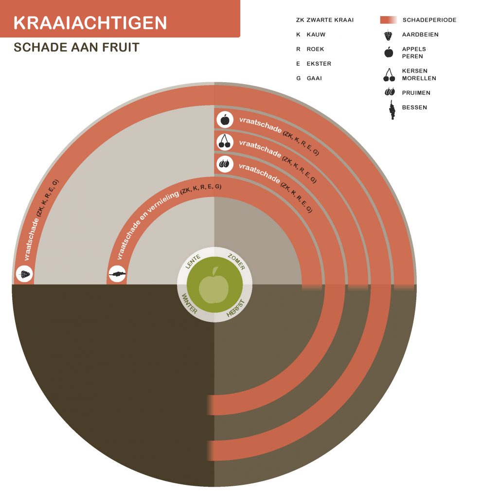 De inhoud van deze infographic vindt u deels in de tekst op de pagina. We zijn ons ervan bewust dat deze afbeelding niet digitaal toegankelijk is. Onze excuses daarvoor. Wij werken aan nieuwe faunaschadepreventiekits en de digitale toegankelijkheid daarvan. Heeft u vragen over de inhoud van deze afbeelding? Neem dan contact met ons op via info@mijnfaunazakenbij12.nl.