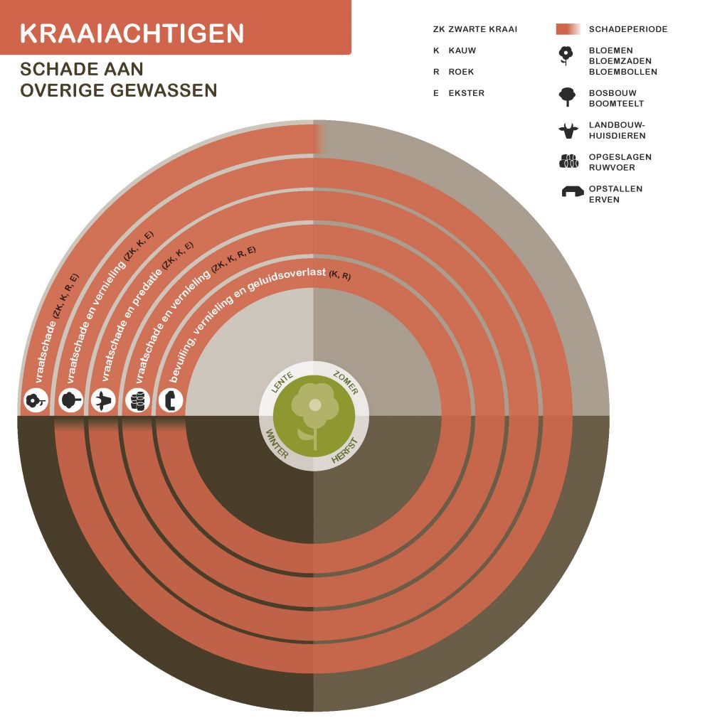 De inhoud van deze infographic vindt u deels in de tekst op de pagina. We zijn ons ervan bewust dat deze afbeelding niet digitaal toegankelijk is. Onze excuses daarvoor. Wij werken aan nieuwe faunaschadepreventiekits en de digitale toegankelijkheid daarvan. Heeft u vragen over de inhoud van deze afbeelding? Neem dan contact met ons op via info@mijnfaunazakenbij12.nl.