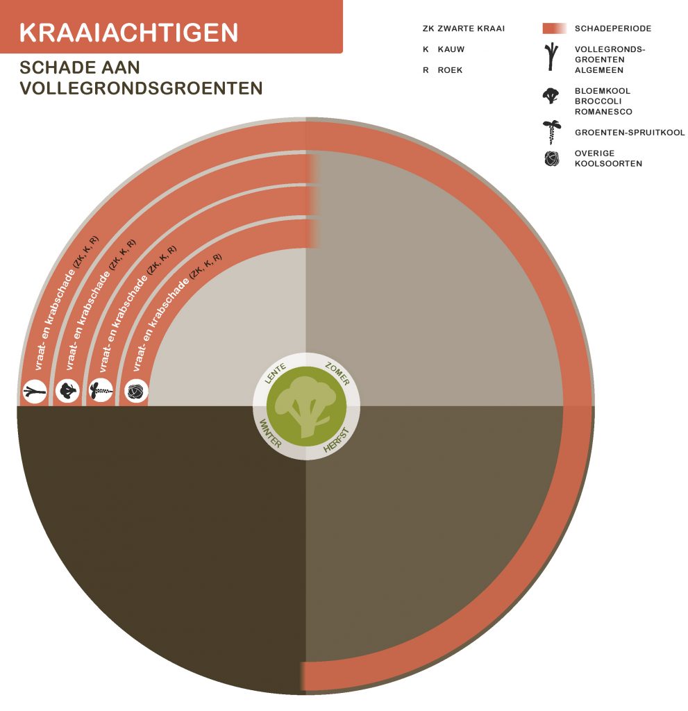 De inhoud van deze infographic vindt u deels in de tekst op de pagina. We zijn ons ervan bewust dat deze afbeelding niet digitaal toegankelijk is. Onze excuses daarvoor. Wij werken aan nieuwe faunaschadepreventiekits en de digitale toegankelijkheid daarvan. Heeft u vragen over de inhoud van deze afbeelding? Neem dan contact met ons op via info@mijnfaunazakenbij12.nl.