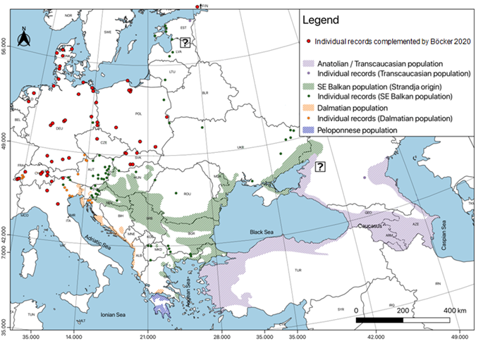 Verspreidingskaart van goudjakhals in Europa