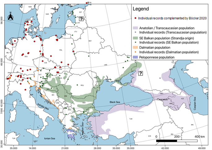 Visualisatie van de verspreiding van de goudjakhals in Europa. Zie toelichting in de tekst.