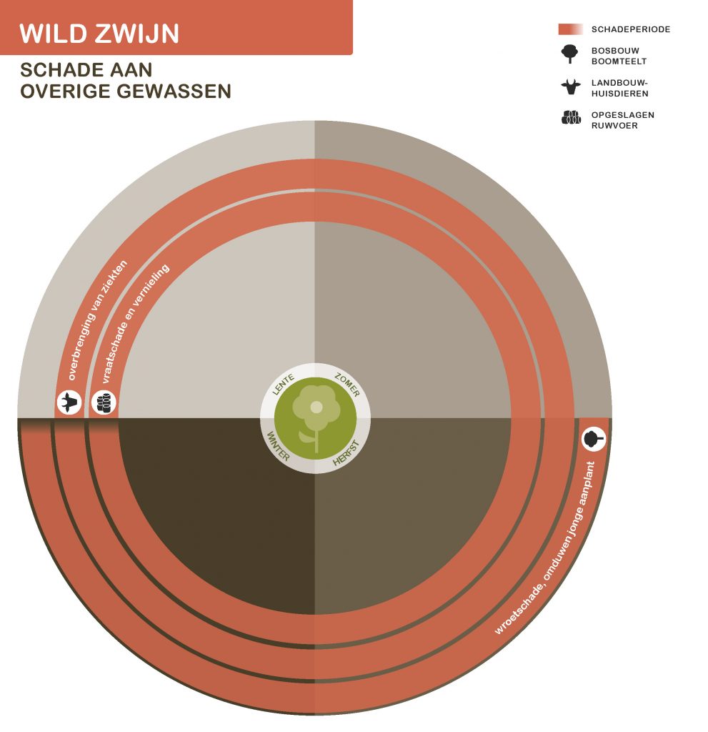 De inhoud van deze infographic vindt u deels in de tekst op de pagina. We zijn ons ervan bewust dat deze afbeelding niet digitaal toegankelijk is. Onze excuses daarvoor. Wij werken aan nieuwe faunaschadepreventiekits en de digitale toegankelijkheid daarvan. Heeft u vragen over de inhoud van deze afbeelding? Neem dan contact met ons op via info@mijnfaunazakenbij12.nl.