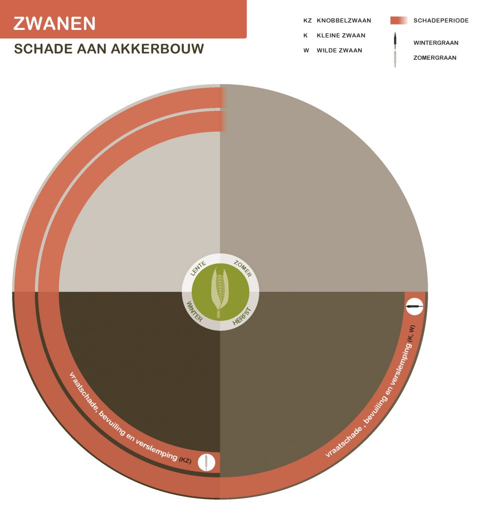 De inhoud van deze infographic vindt u deels in de tekst op de pagina. We zijn ons ervan bewust dat deze afbeelding niet digitaal toegankelijk is. Onze excuses daarvoor. Wij werken aan nieuwe faunaschadepreventiekits en de digitale toegankelijkheid daarvan. Heeft u vragen over de inhoud van deze afbeelding? Neem dan contact met ons op via info@mijnfaunazakenbij12.nl.