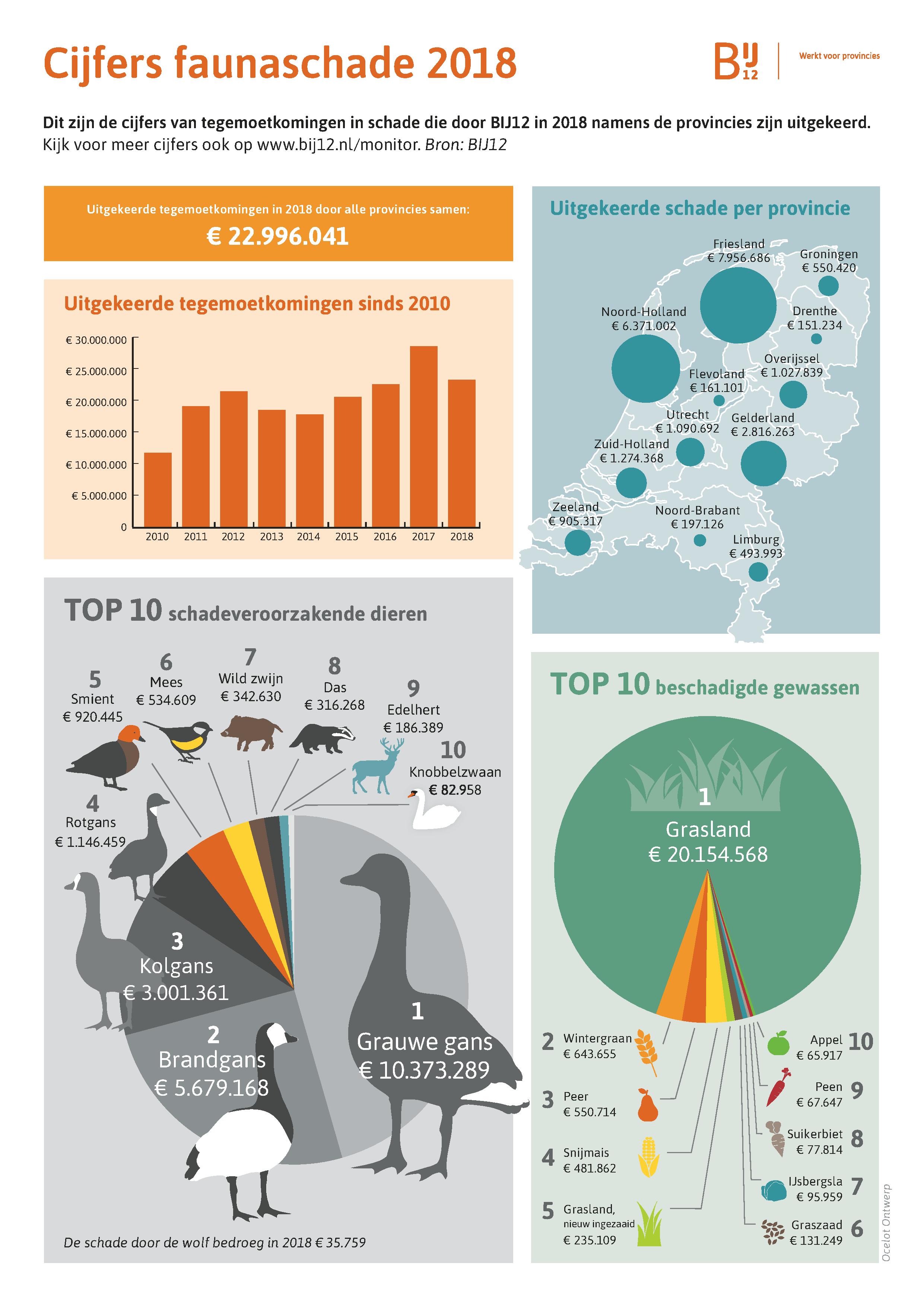 Infographic - zie onderstaand transcript.