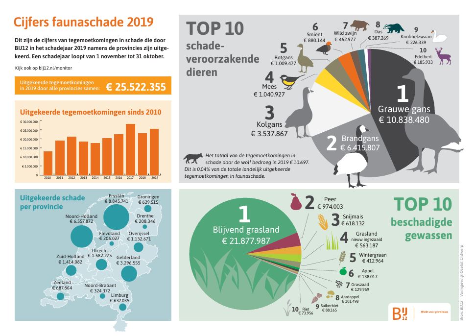 Infographic - zie onderstaand transcript.