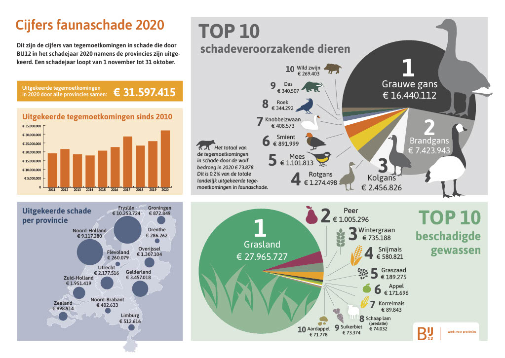 Infographic - zie onderstaand transcript.