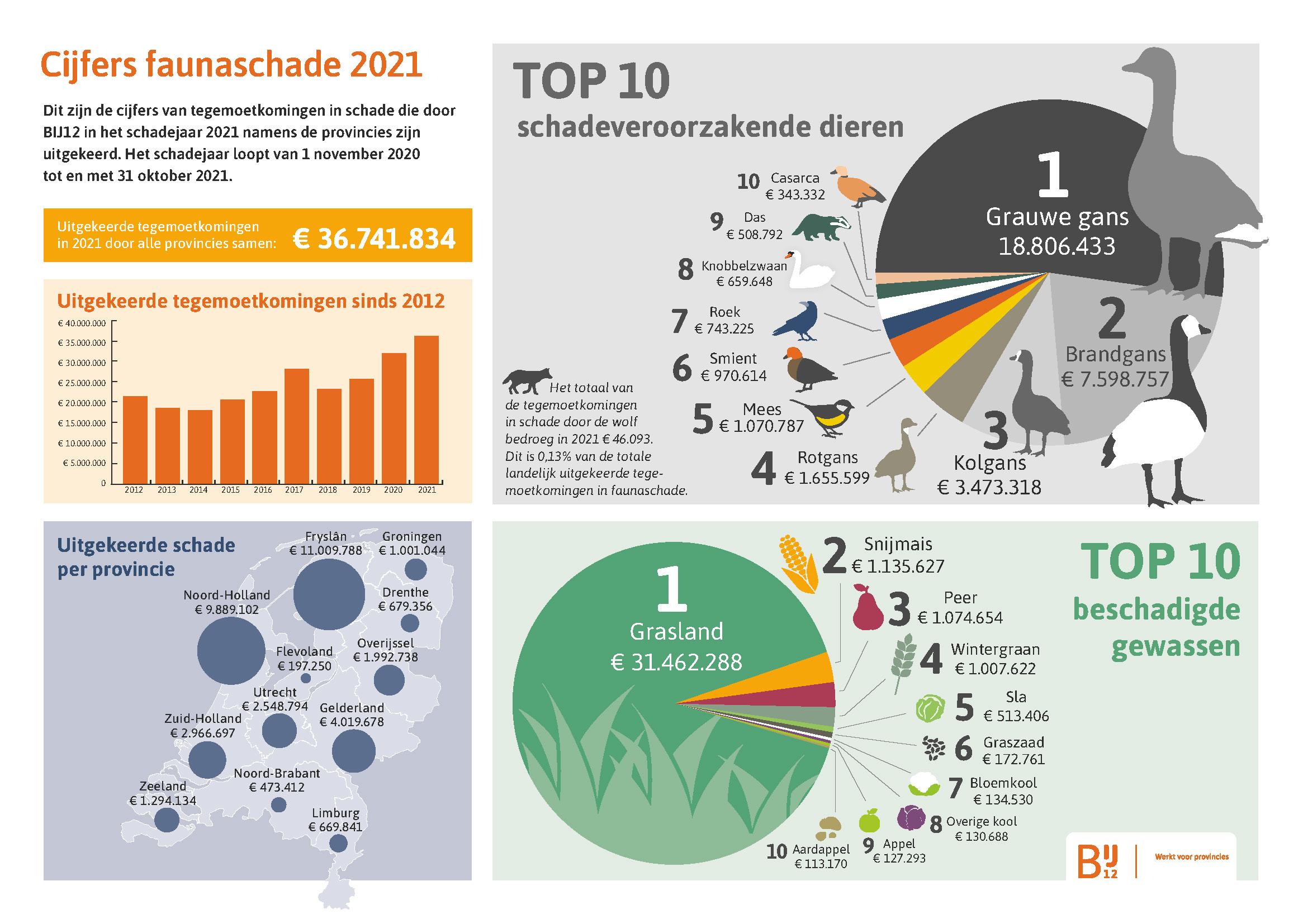 Infographic - zie onderstaand transcript.