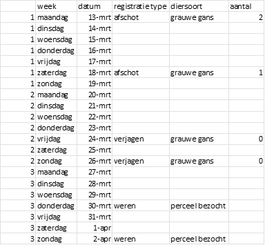 De tabel bestaat uit de volgende kolommen: weeknummer, dag in de week, datum, registratietype (bijvoorbeeld: afschot, verjagen, weren), diersoort en aantal. Zie verdere toelichting in de tekst. De voorbeeldacties die worden genoemd in de tabel: - Week 1, maandag 13 maart: afschot, grauwe gans, aantal 2 - Week 1, zaterdag 18 maart: afschot, grauwe gans, aantal 1 - Week 2, vrijdag 24 maart: verjagen, grauwe gans, aantal 0 - Week 2, zondag 26 maart: verjagen, grauwe gans, aantal 0 - Week 3, donderdag 30 maart, weren, perceel bezocht - Week 3, zondag 2 april, weren, perceel bezocht