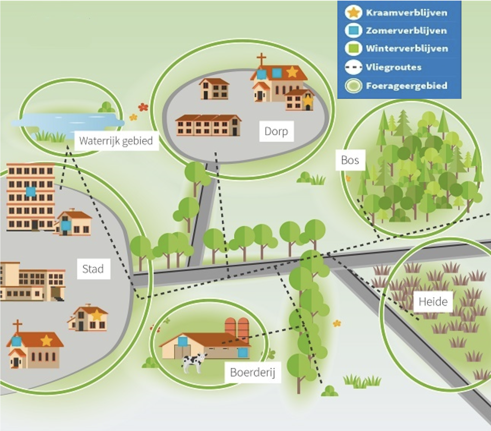 Illustratie van hoe een netwerk van verblijfplaatsen van de laatvlieger eruit kan zien in de winter en zomer zoals beschreven in hoofdstuk 1. 