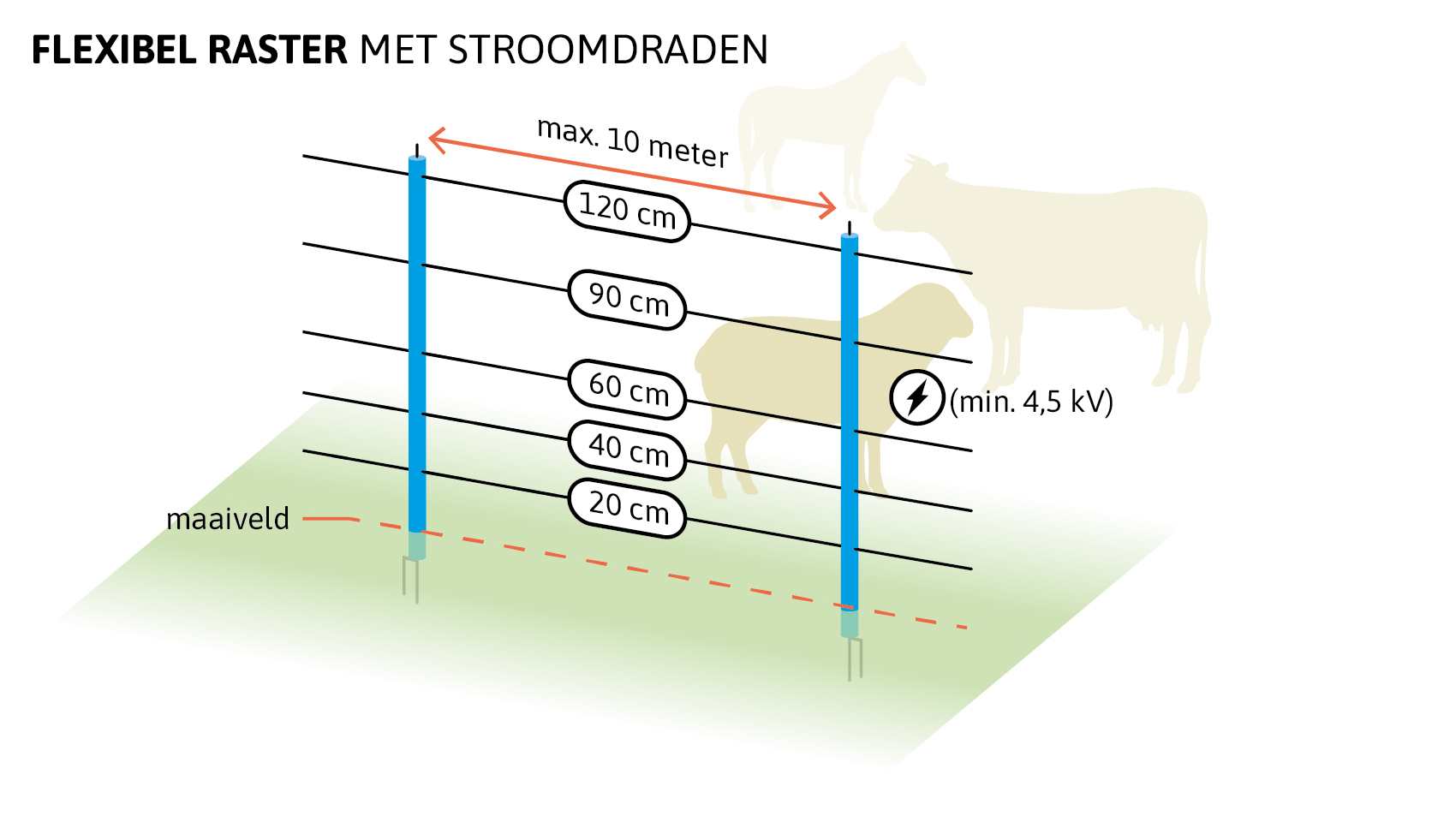 Schematische tekening van een flexibel raster met stroomdraden voor een afrastering. Twee blauwe palen staan maximaal tien meter uit elkaar met vijf horizontale stroomdraden op hoogtes van 20, 40, 60, 90 en 120 centimeter boven het maaiveld. Naast de palen staat een symbool dat aangeeft dat de spanning minimaal 4,5 kilovolt moet zijn. Het maaiveld is aangeduid met een rode lijn en een groene ondergrond. Op de achtergrond zijn silhouetten van een paard/pony, een rund en een schaap zichtbaar om te laten zien welke landbouwdieren hiermee beschermd kunnen worden.