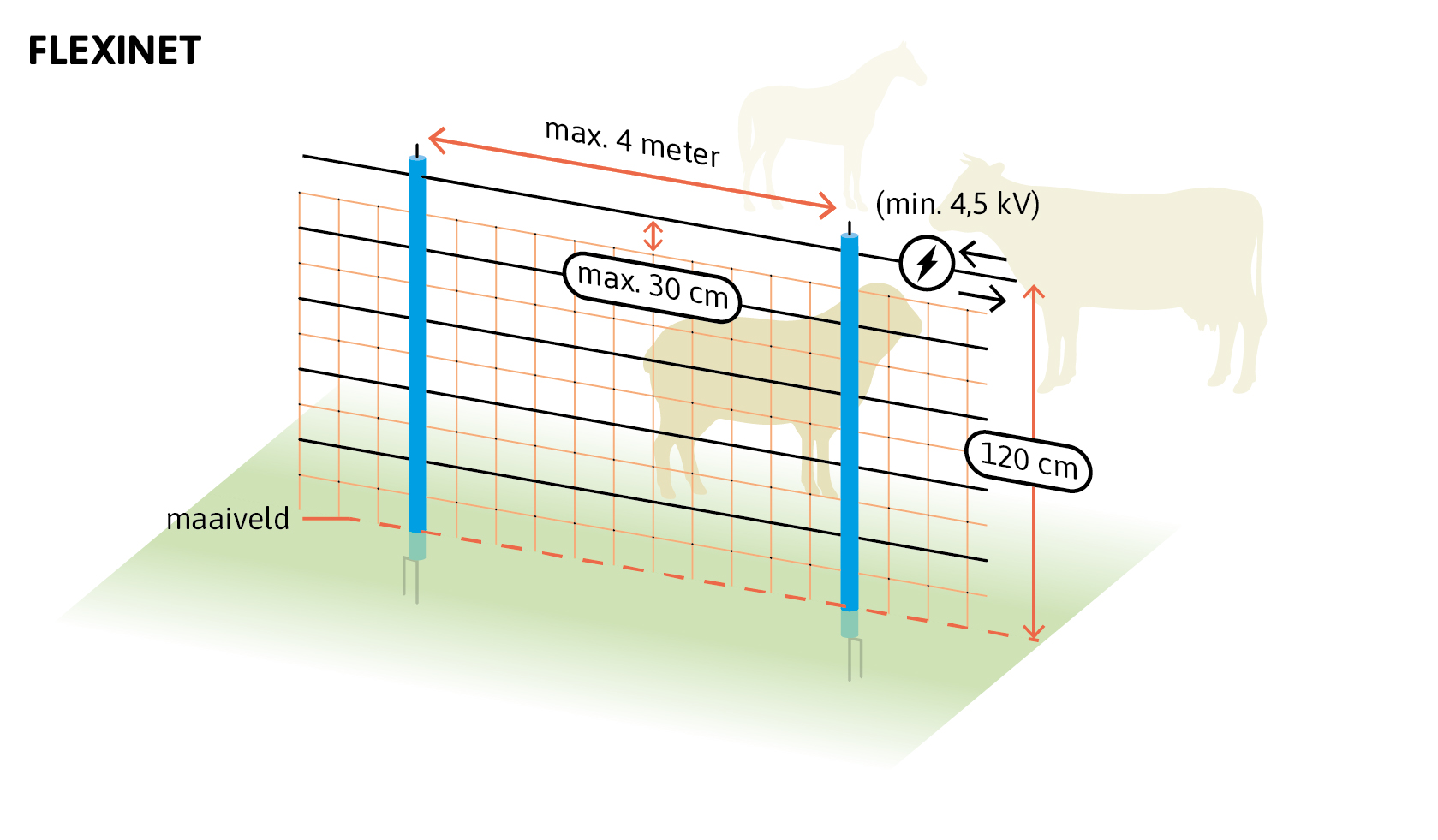 Schematische tekening van een flexinet, een flexibel net met stroomdraden voor afrastering. Twee blauwe palen staan maximaal vier meter uit elkaar, met een elektrisch net van 120 centimeter hoog. De horizontale draden staan maximaal 30 centimeter uit elkaar en zijn verbonden met verticale oranje draden die het net vormgeven. Naast het net staat een symbool dat aangeeft dat de spanning minimaal 4,5 kilovolt moet zijn. Het maaiveld is aangeduid met een rode lijn en een groene ondergrond. Op de achtergrond zijn silhouetten van een paard/pony, een rund en een schaap zichtbaar om te tonen welke landbouwdieren hiermee beschermd kunnen worden.