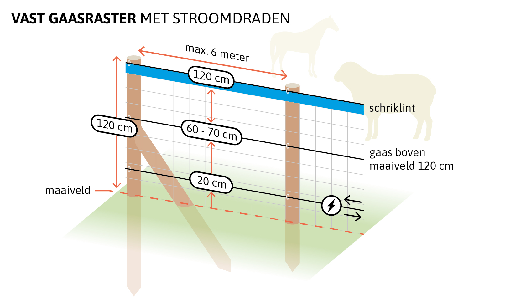 Schematische tekening van een vast gaasraster met stroomdraden voor een afrastering. Het toont houten hoek- en eindpalen cm en tussenpalen met een maximale afstand van 6 meter. Bovenaan zit een schriklint op 120 cm hoogte, met gaas dat tot 120 cm boven het maaiveld reikt. Onder het maaiveld buigt het gaas 90 graden richting wildzijde of steekt het minimaal 100 cm boven de grond aan die kant uit. Twee stroomdraden lopen op 20 cm en 40–60 cm hoogte. Op de achtergrond zijn silhouetten van een paard/pony, een rund en een schaap zichtbaar om te illustreren welke landbouwdieren hiermee beschermd kunnen worden.