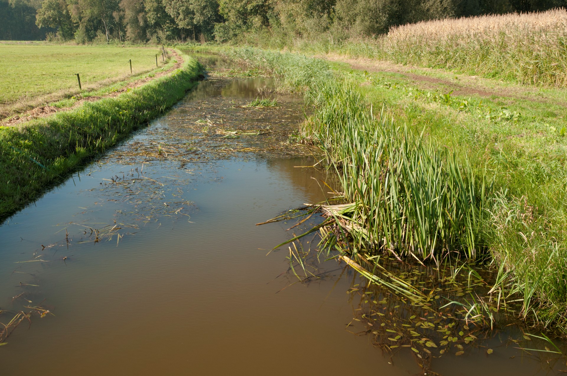 Foto van een watergang met aan één zijde een natuurvriendelijke oever en aan de andere zijde een steile oever. 