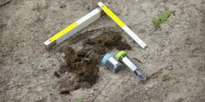 DNA-bemonstering van een wolvendrol